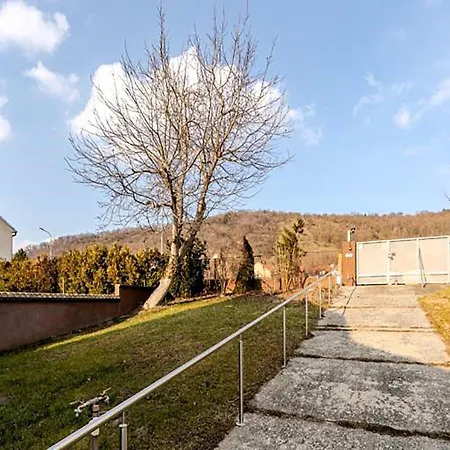 Vienna Garden